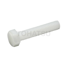 Plastic hexagon screw (POM) SBTPOMM