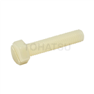 Plastic Hexagon Slotted Screws (PA66) SBTEPAM