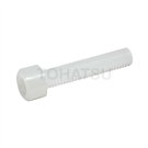 Plastic Hexagon Socket Screws (PP) SCBPPM