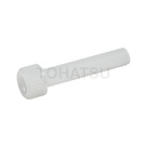 Plastic Hexagon Socket Screws (PP) SCBFPPM