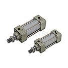 DMB2 Series Standard Cylinder