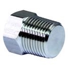Hexagonal plug HP