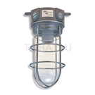 FE-701 Warehouse light (with protective device)