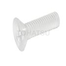 Plastic pan head cross screw (PC) NSPCM