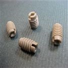 Plastic Set Slotted Head Screws (PA66 Inch Flat Tail) RSPA