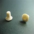 Plastic Pan Head Phillips Screws (PA) LWKPAM