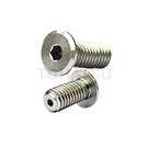 Hollow Screws (Ultra Low Head Hexagon) ULHAR