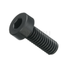 RENY low head hexagon socket screw QCMP