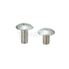 Carbon Steel/Stainless Steel Phillips Screws BBRSS BRSS