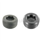 Carbon steel/stainless steel hexagon socket screws (PT thread) NSWT NSWTS