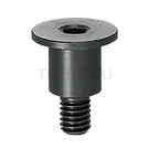 Journal bolts (extremely low head type) LTHT LTHN LTHP