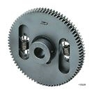 NS Series Backlash-Free Gears