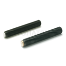 Hexagon socket set screw (with washer) SGR913.3