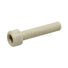 Plastic socket head screw (PPS) SCBPPSM