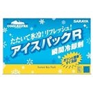 42433 Ice Pack