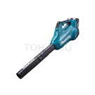 Cordless Hair Dryer DUB362Z