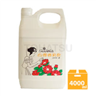 Fragrance soap hand wash (4 liters)