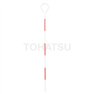 TTP-33 TTP-53 Red and white flower stem