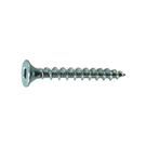 Dish head square hole self tapping screw